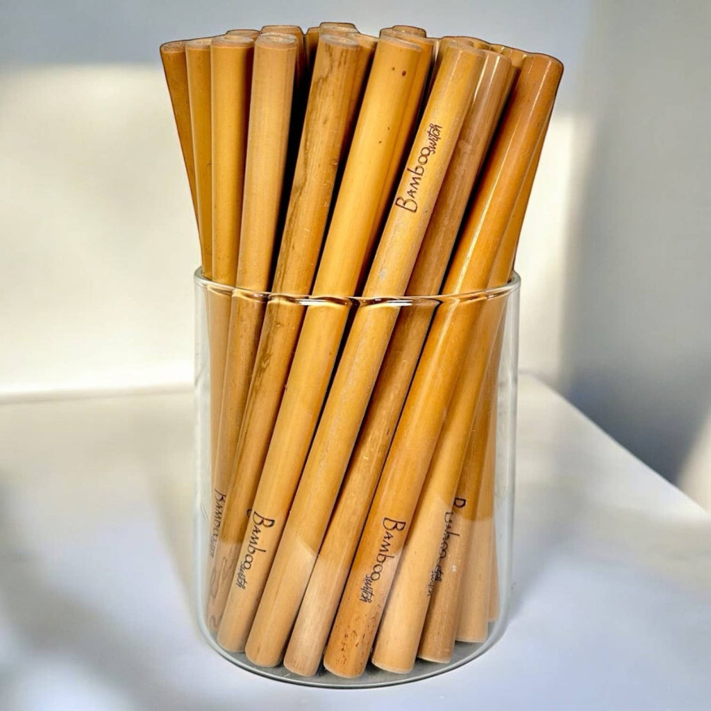 Bulk Individual Bamboo Straws | Travel Bestseller