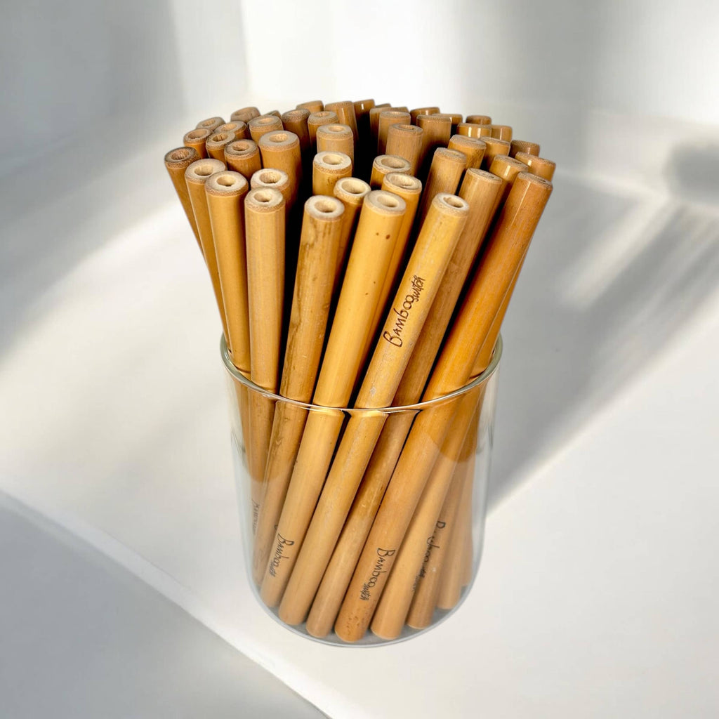 Bulk Individual Bamboo Straws | Travel Bestseller