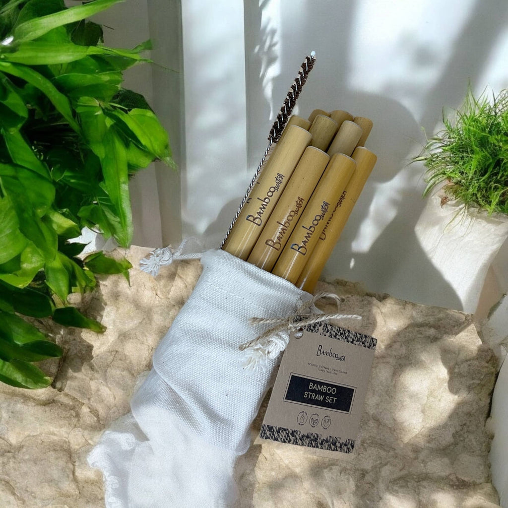 Set of 10 Bamboo Straws & Coconut Fiber Straw Cleaner Set