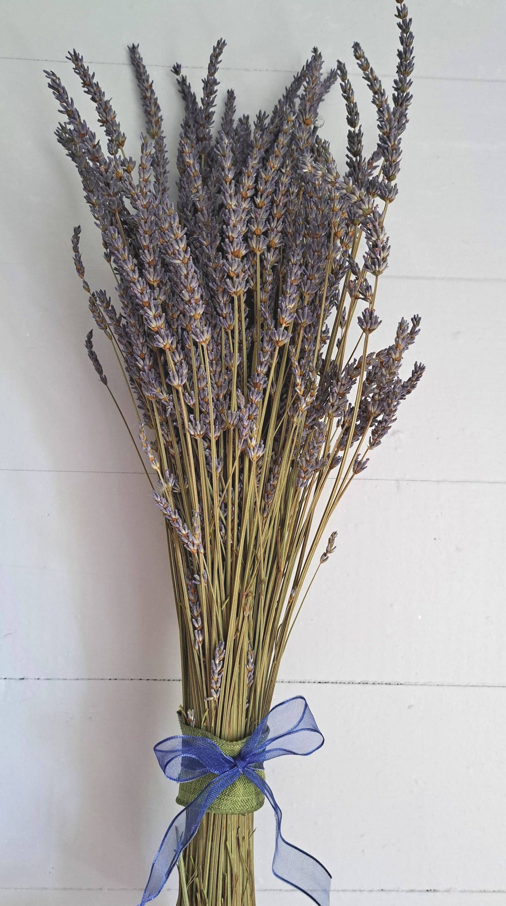Dried Grosso Lavender Bundles