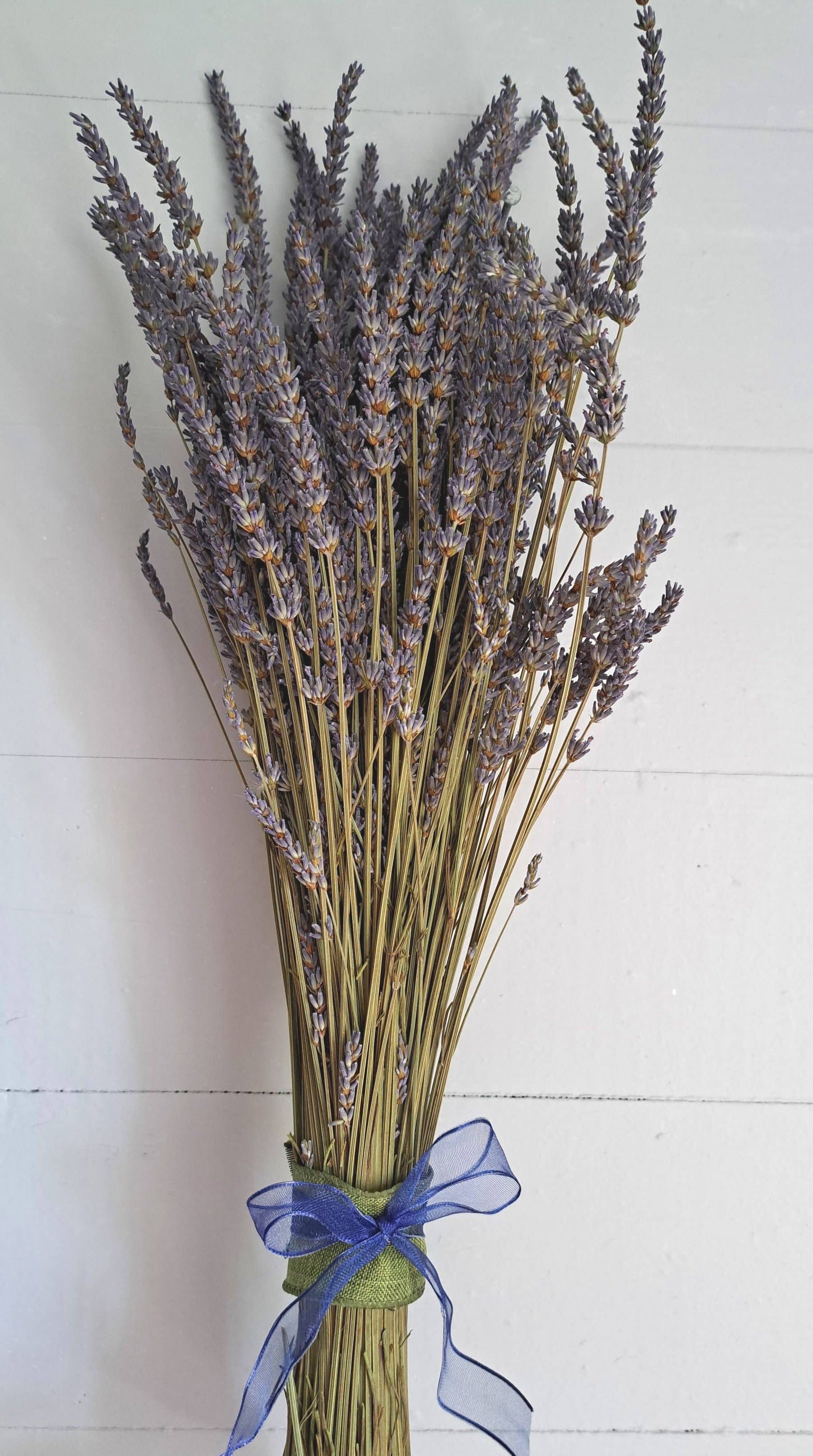 Dried Grosso Lavender Bundles